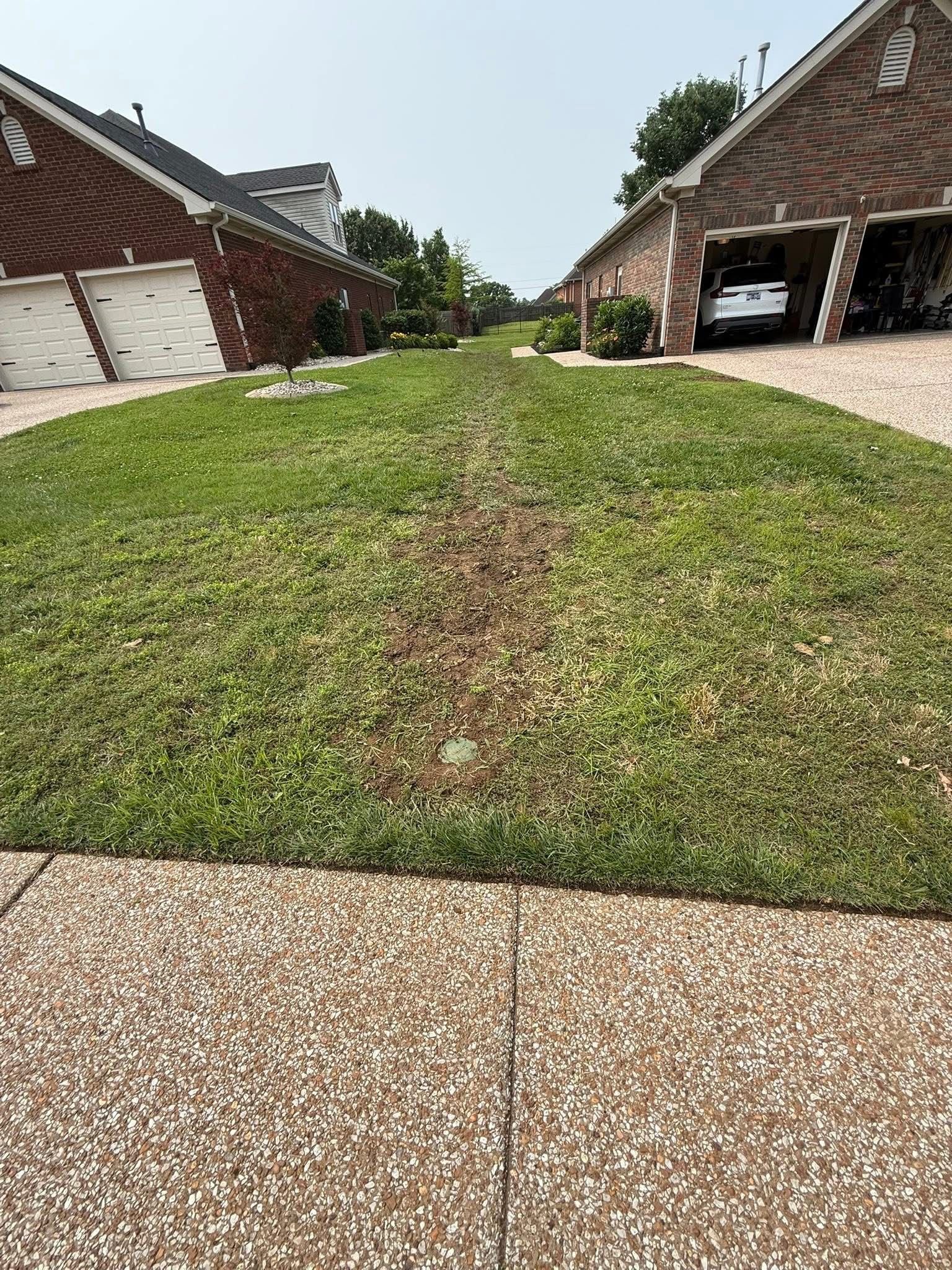 Before Drainage